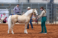 KSB_8139