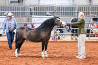 KSB_8168