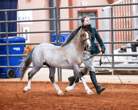 KSB_8161
