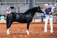 KSB_8130