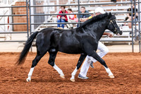KSB_8135
