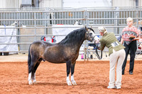 KSB_8169