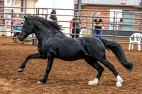 KSB_6352