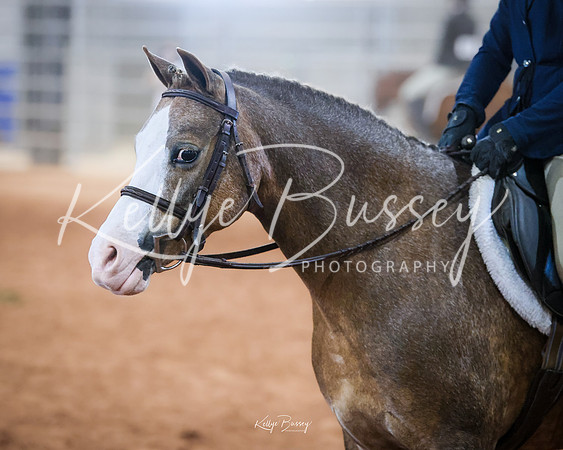 KSB_0397