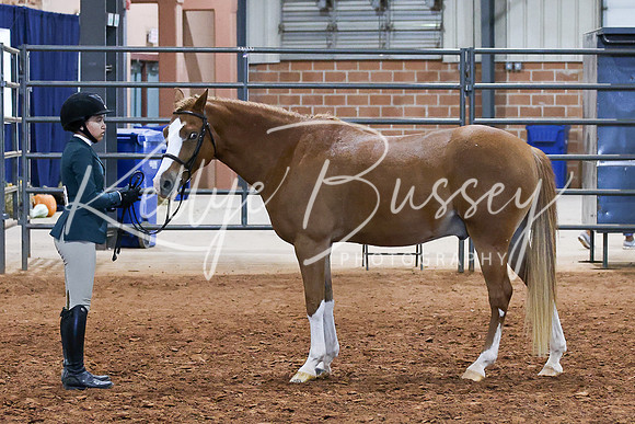 KSB_0362
