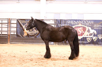 KSB16348