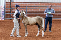 KSB_8505