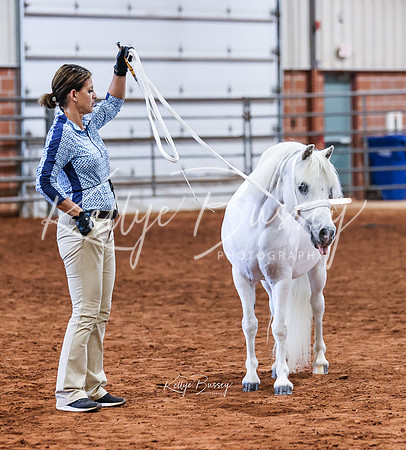 KSB_8082-Edit-web