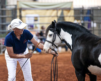 KSB_7606