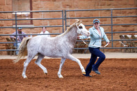 KSB_8016