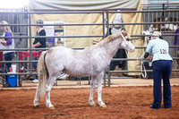KSB_8025