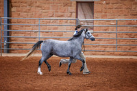 KSB_8004