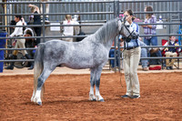 KSB_8125