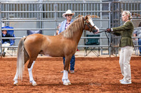 KSB_8092