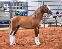 KSB_8128
