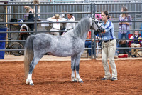 KSB_8124