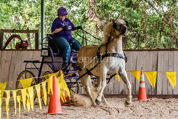 6V9A8164