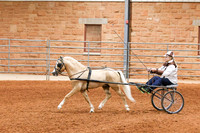 KSB_9297