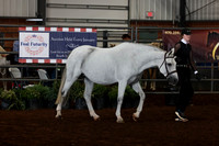 130 Section B, 5 & Over Yield Mares