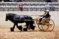 KSB15424