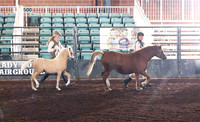 HU2A0186