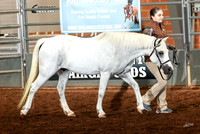 HU2A0576