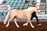 153 GCH and Rs Sect C