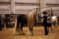KSB17414