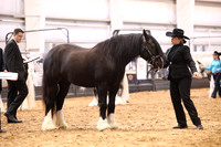 KSB11160