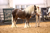 KSB11164