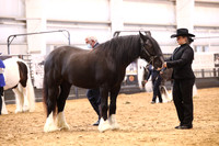 KSB11159