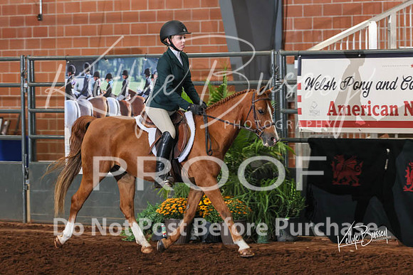 HU2A3311