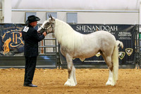 KSB_0195