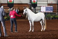 144 Sr CH and Rs Section B