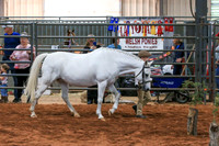AN1O1314
