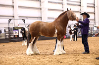 KSB10928