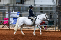 121 Ridden Welsh Classic Sec.A/B Jr/Adult