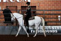 254 & 255 Green Pony Working & Conf. W.Pleasure