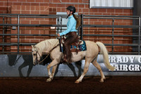 271 Stock Seat Equitation - Junior