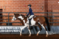 248 & 249 Rider Opportunity Working & Conformation