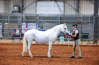114 Section A Veteran Mares & Stallions 15 & Over
