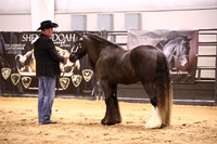 KSB16522