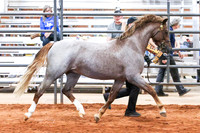 KSB_8498