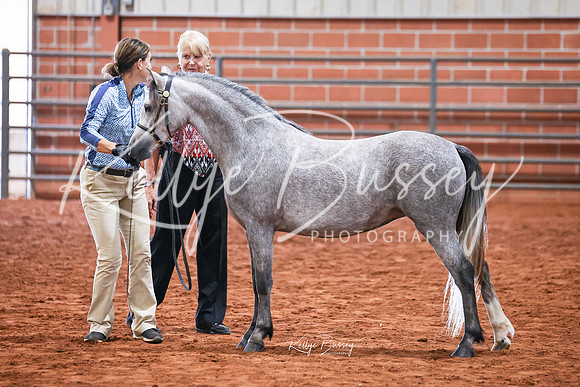 KSB_8029-edit web
