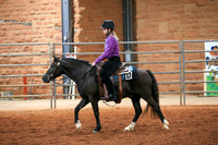 AN1O0763
