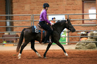 AN1O0808