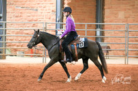 AN1O0800