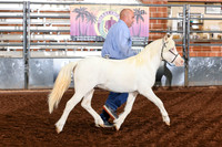 151 GCH and Rs Sect A