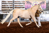 152 GCH and Rs Sect B