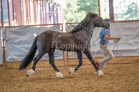 KB2_6621